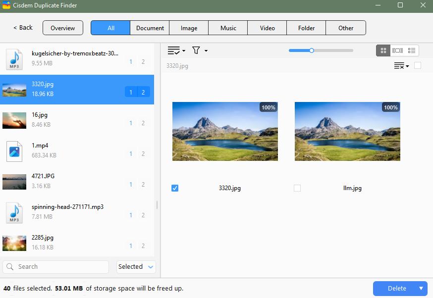 all duplicate files