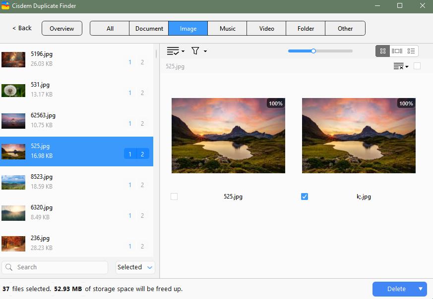 view found duplicate files