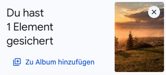 doppelte Fotos werden erkennt