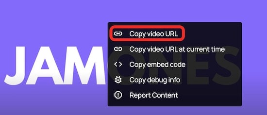 copy video link