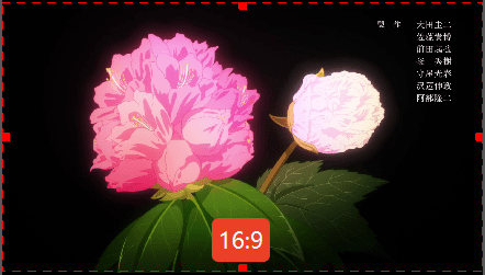 16：9（ワイド比率）