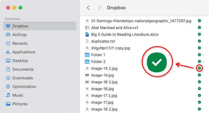 Finder screen showing that Dropbox in the left sidebar is selected and also showing a list of files on the right, with each file displaying a green circle icon on the right side of itself
